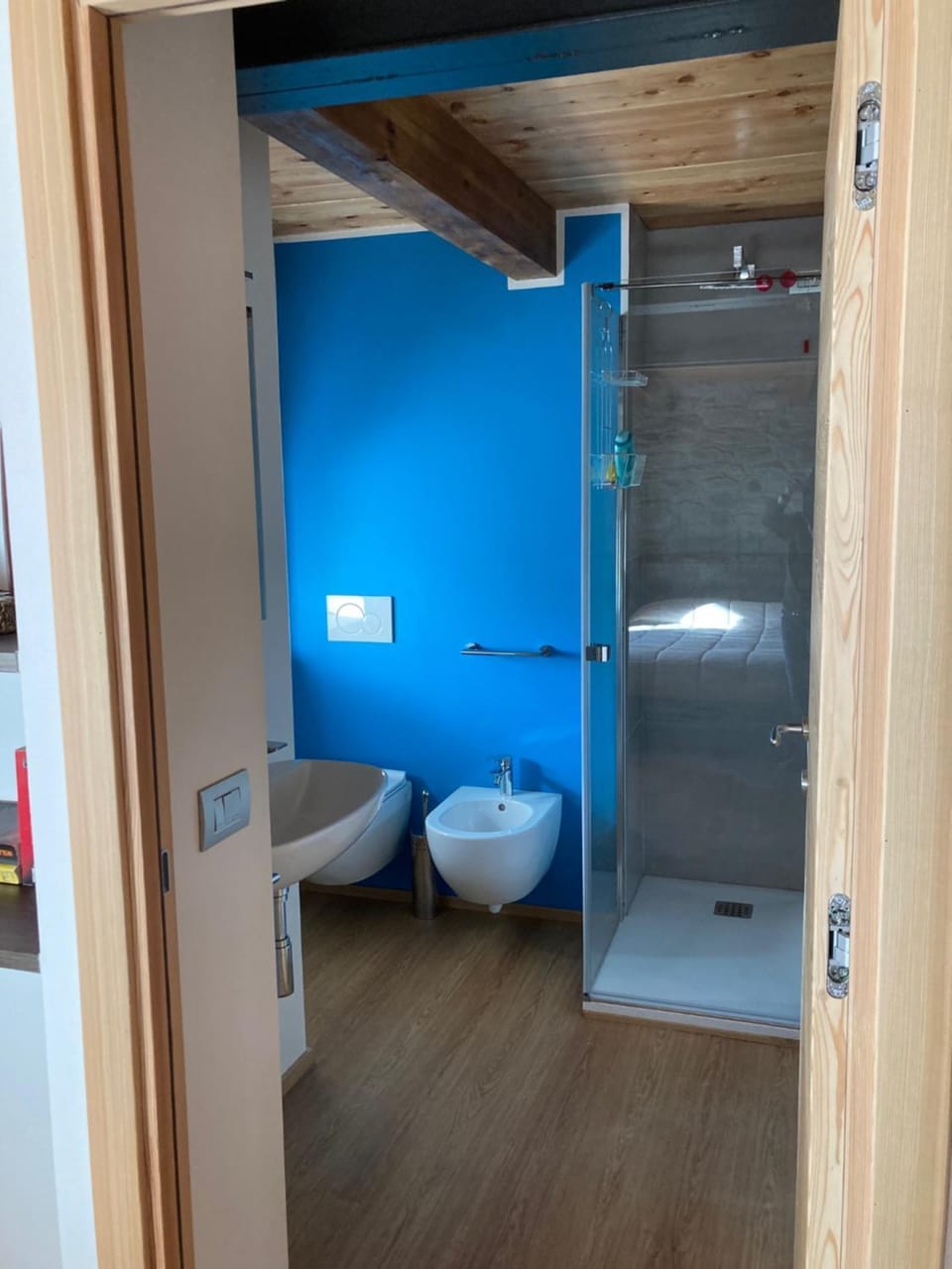 Shower, Toilet, Bathroom, bidet