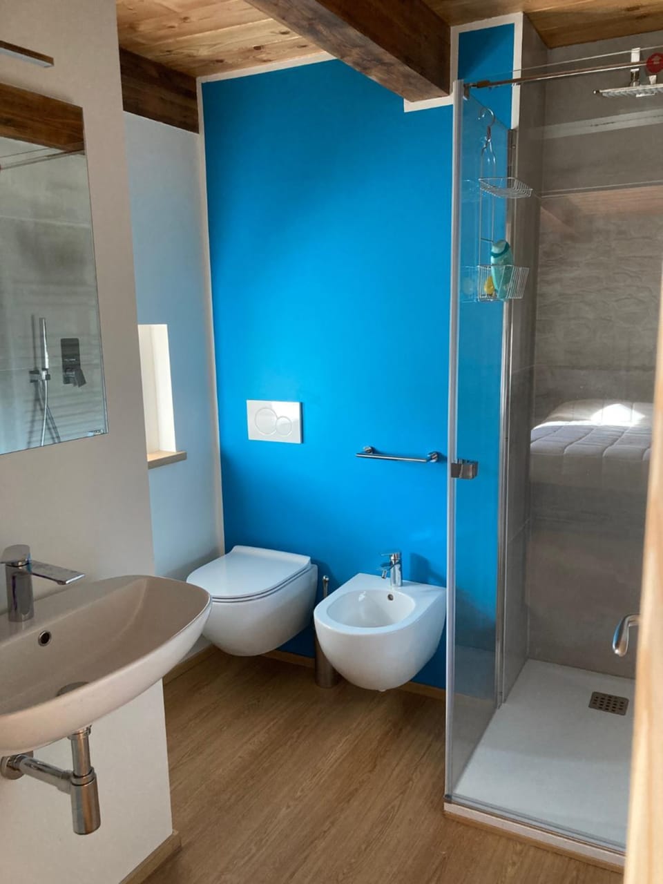 Shower, Toilet, Bathroom, bidet