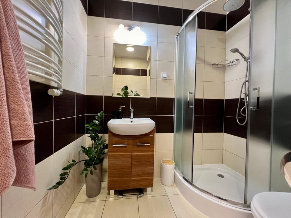 Shower, Toilet, Bathroom, towels