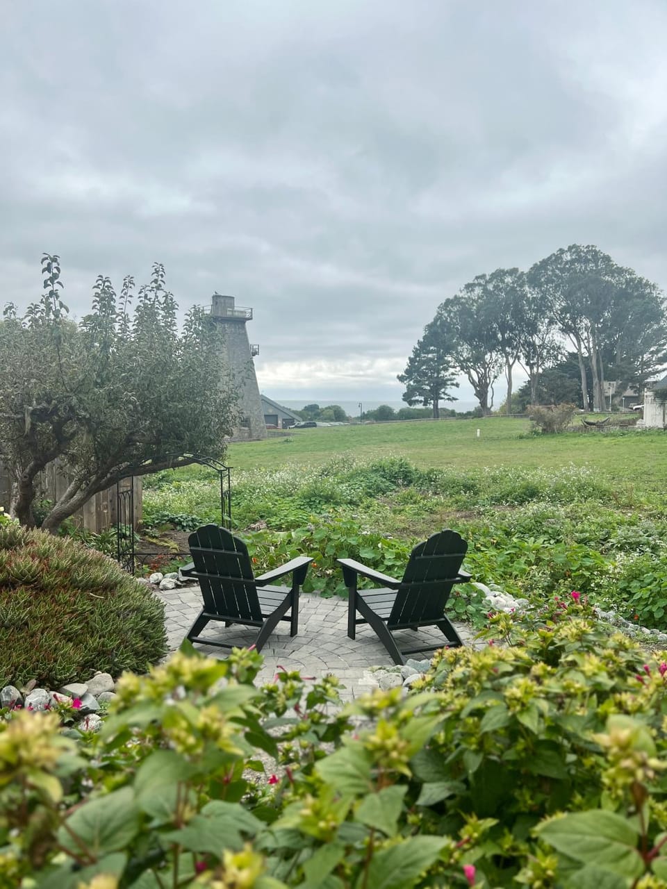 Natural landscape, Garden, Seating area, Garden view