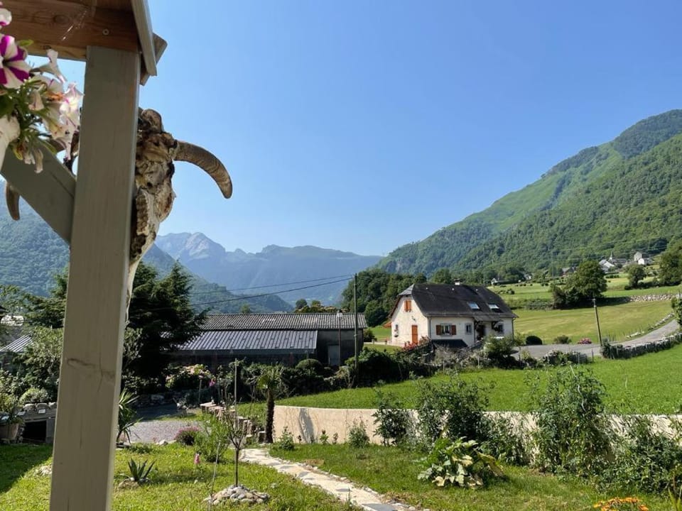 View (from property/room)