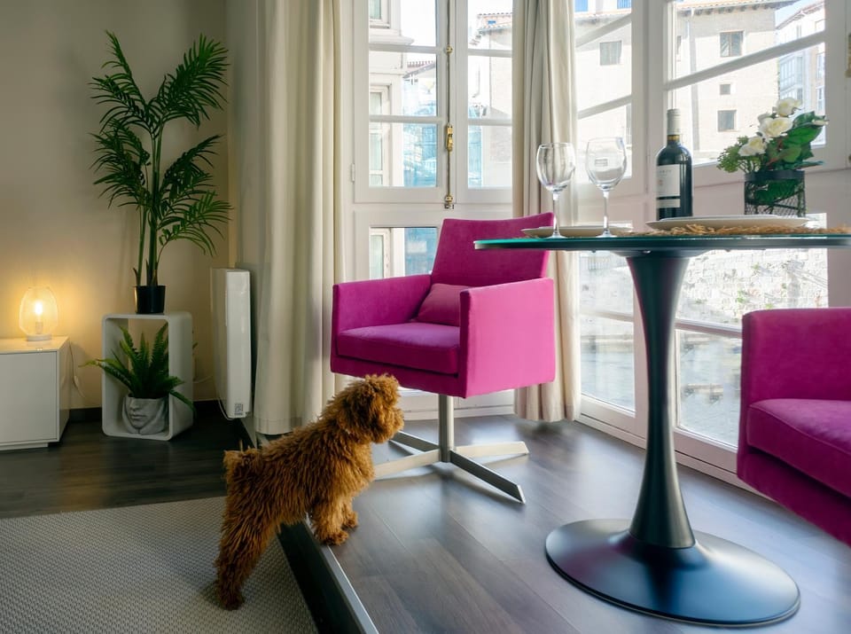 Seating area, Pets
