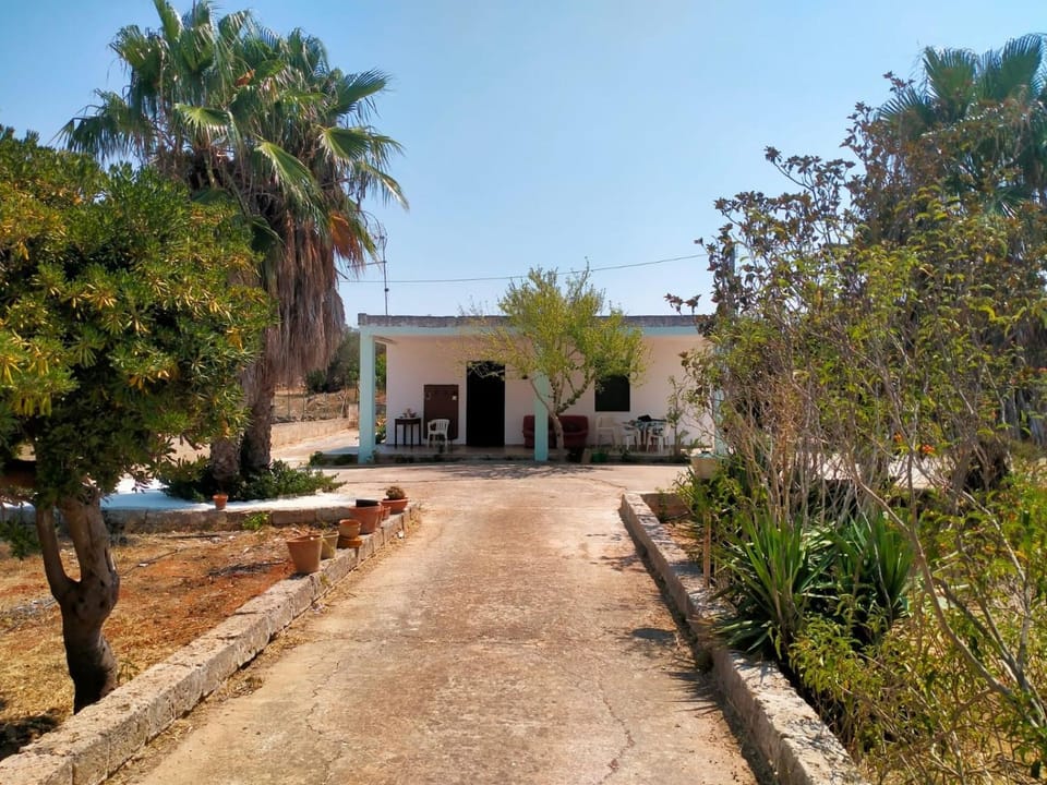 Property building, Garden, Garden view