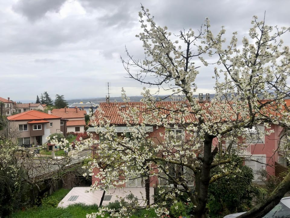 View (from property/room), Garden view