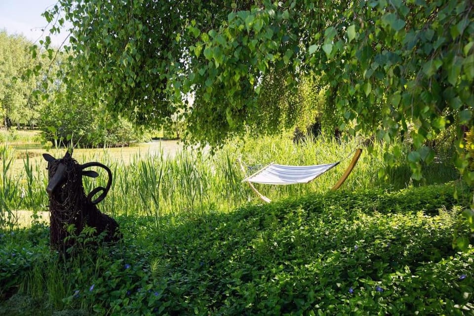 Natural landscape, Garden, Garden view
