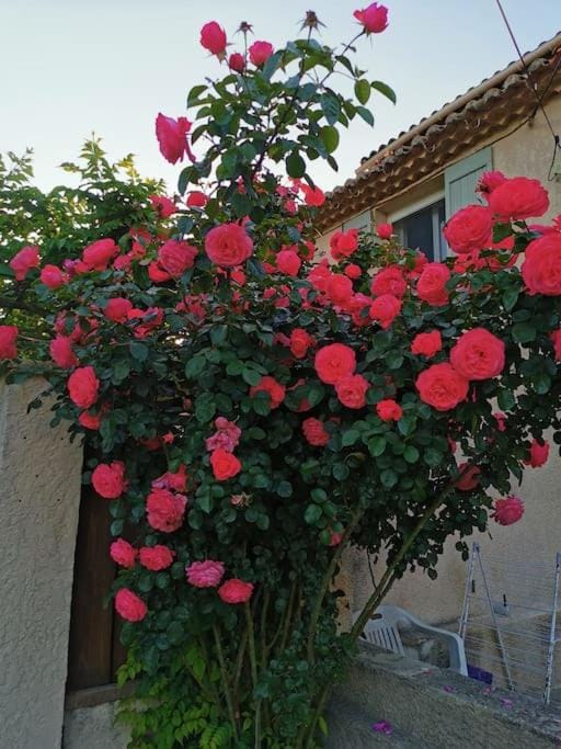 Dépendance cosy entre jardin privé et piscine partagée Chalet in French Riviera
