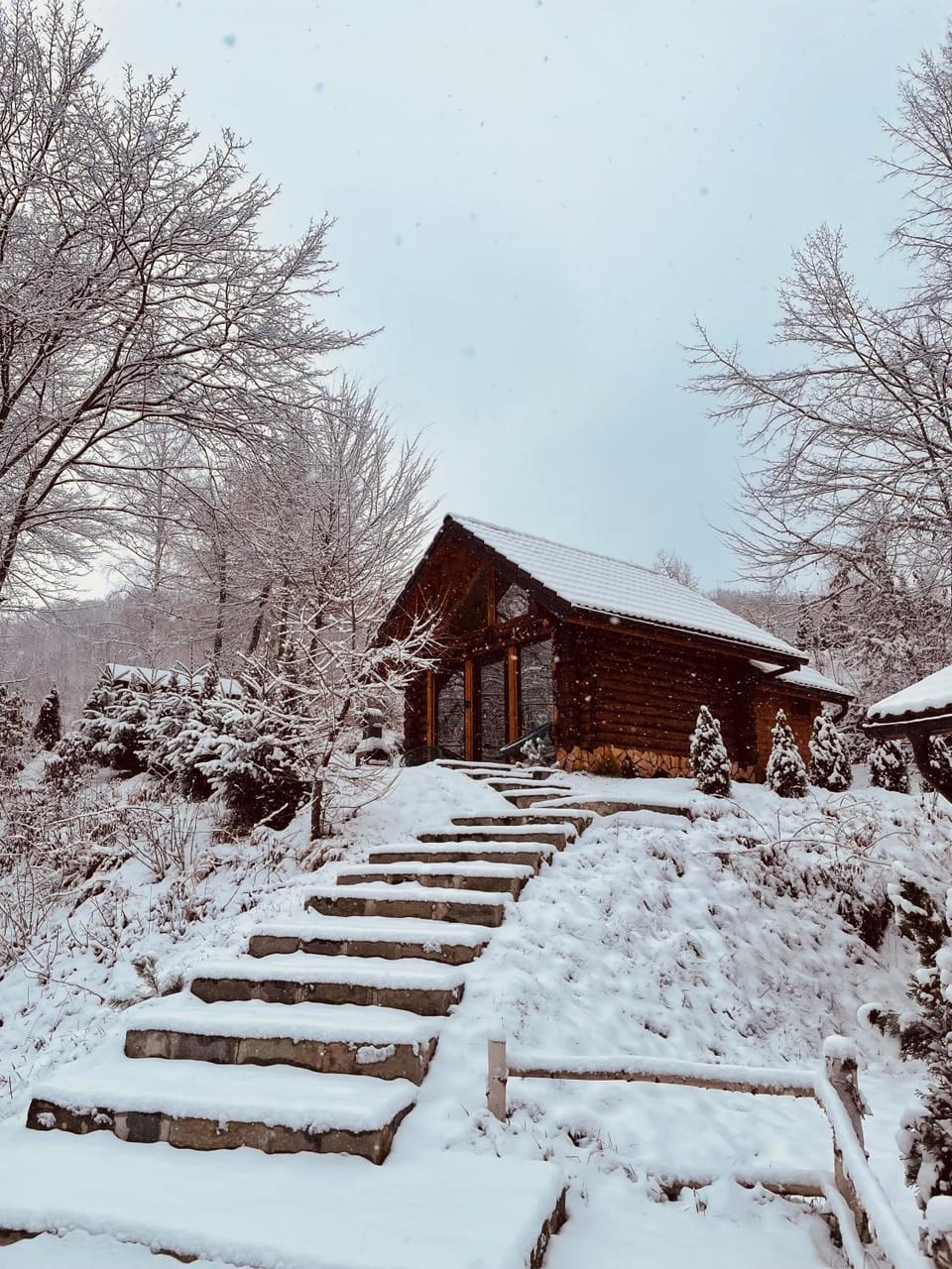 Cabana din Groapa Frumoasa House in Brașov County