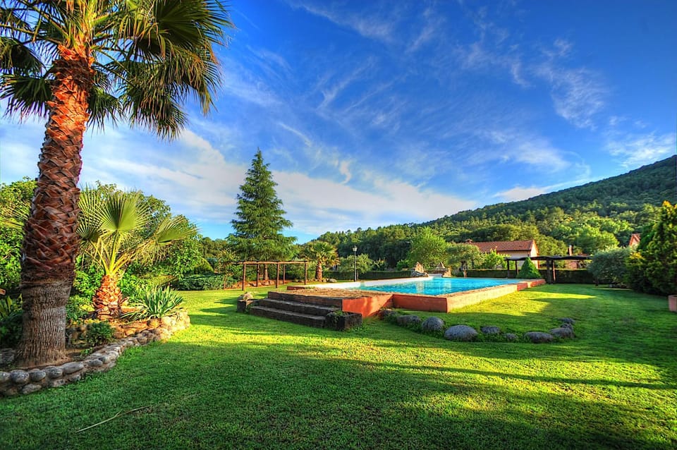 Garden, Garden view, Mountain view, Swimming pool, sunbed