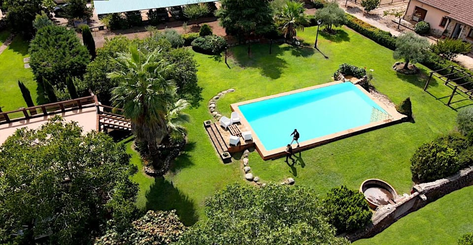Garden, Garden view, Pool view, Swimming pool, sunbed
