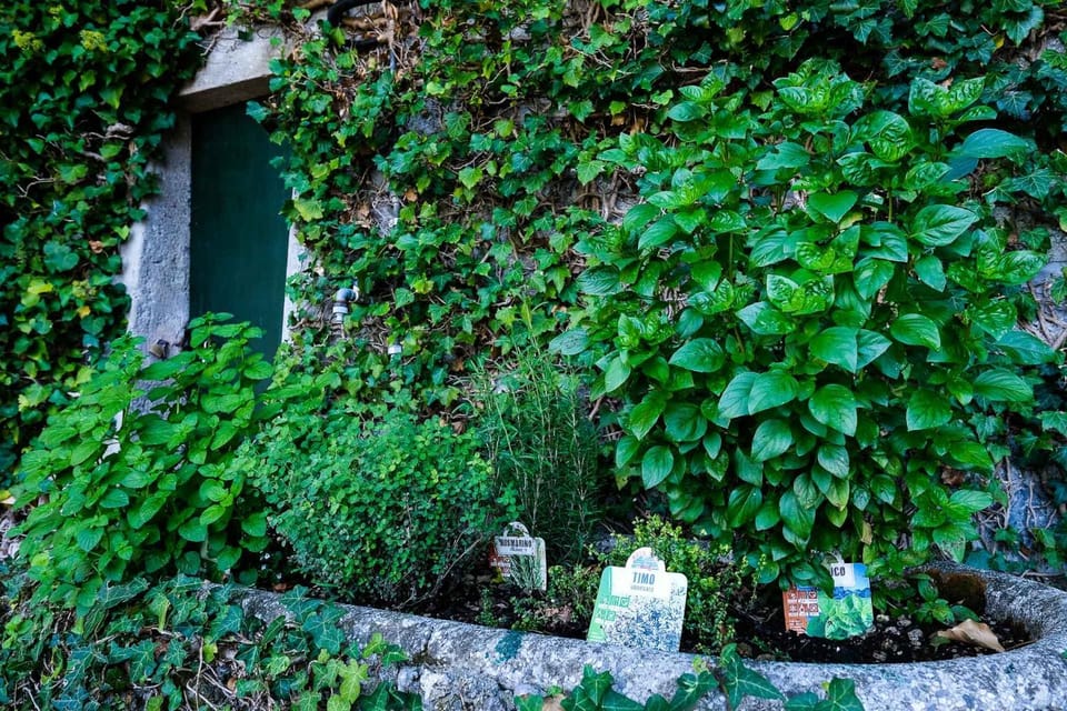 Villa Gina Apartment in Province of Lecco