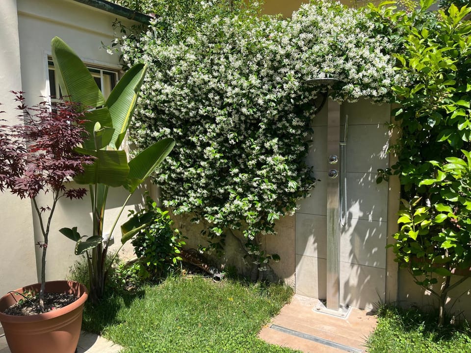 Shower, Garden