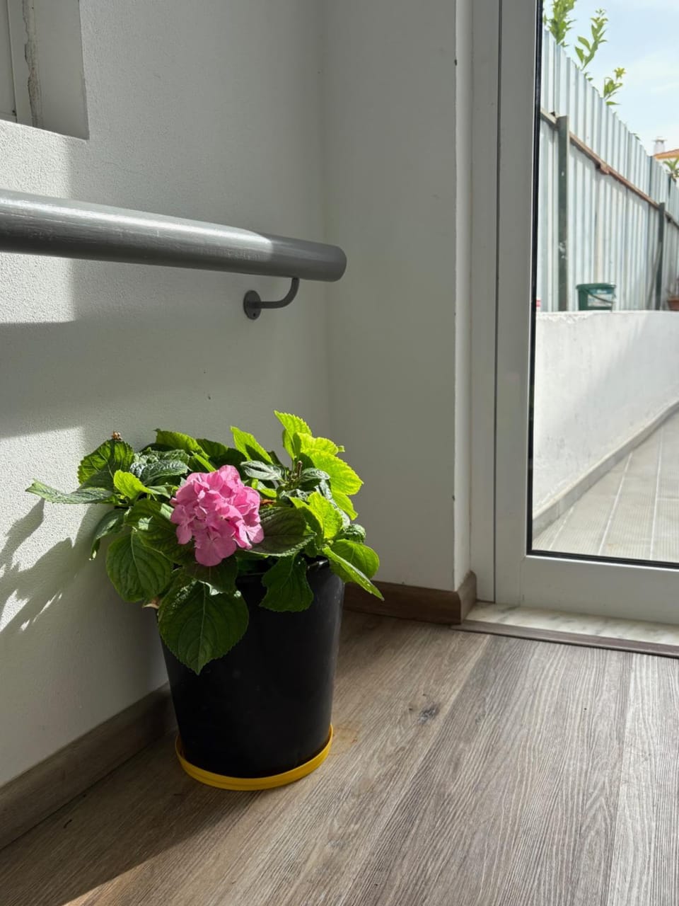 Alojamento Local - Covas Hotel in Setubal District