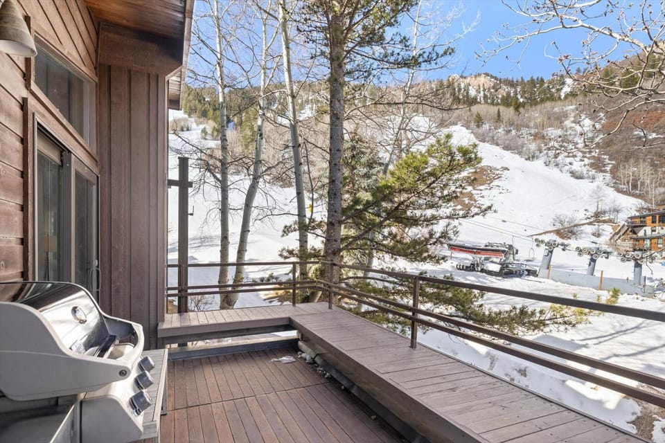 Mountain Queen 14 House in Aspen