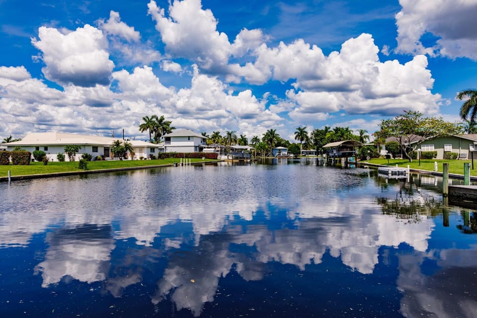 Lake view