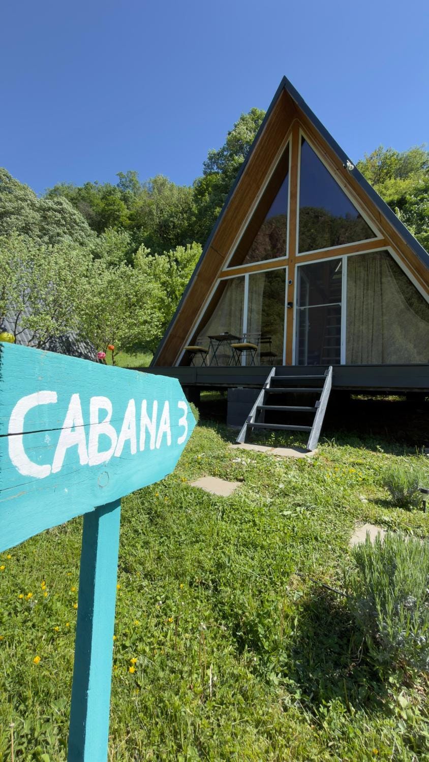 Cabane A-Frame Svinița House in Serbia