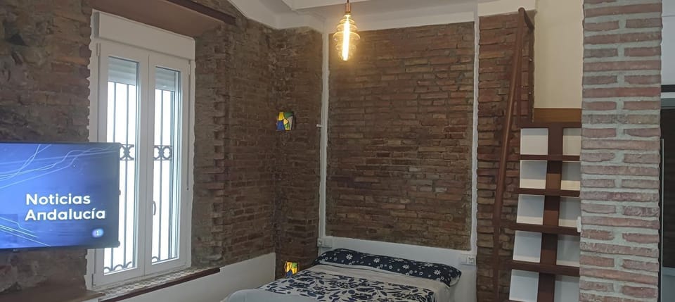 FERNANDO EL CATOLICO PREMIUM Apartment in Malaga
