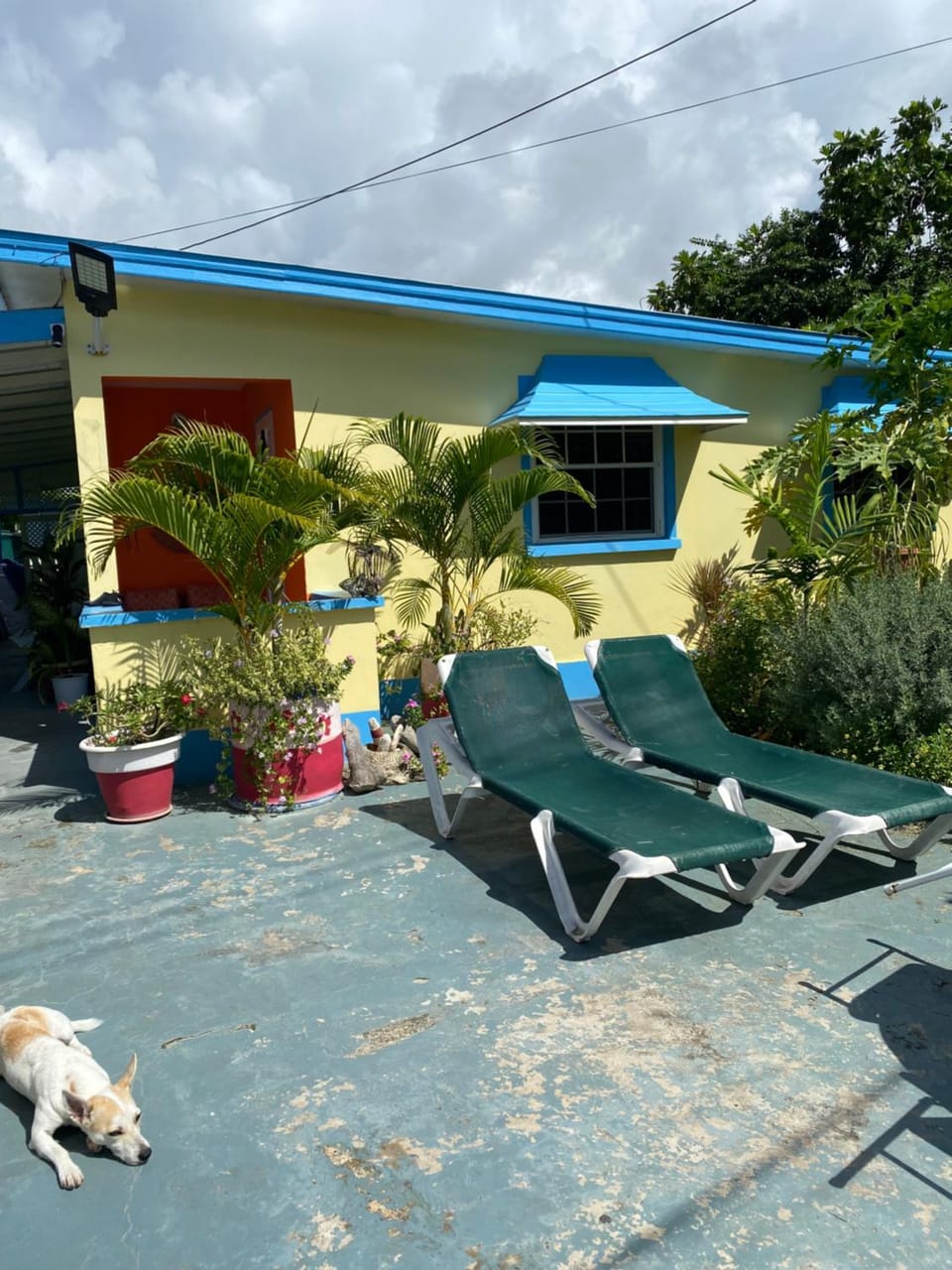 Garden view, sunbed