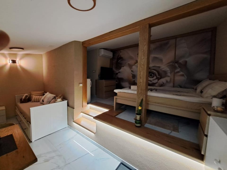 Apartman Barka Apartment in Serbia