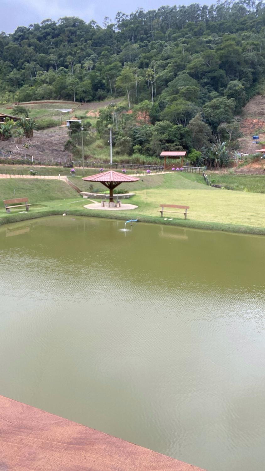 Lake view