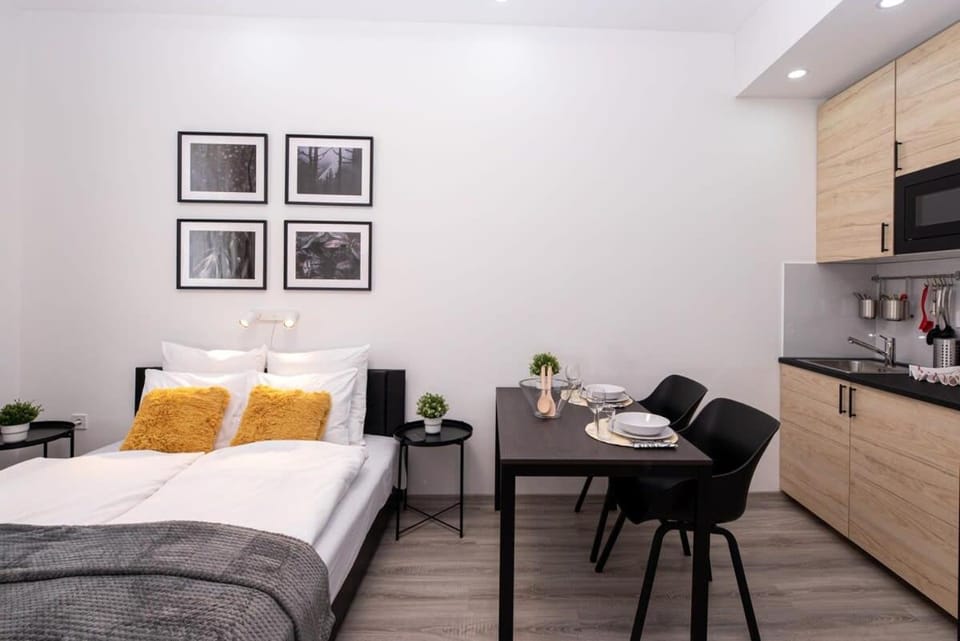 Charming studio at downtown Apartment in Budapest