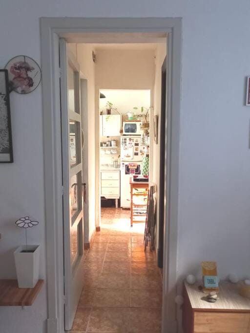 Cálido apartamento a 8 cuadras del mar y a 3 de 18 Julio Estarán acompañados por una gatita que vive alli Apartment in Montevideo Department, Uruguay