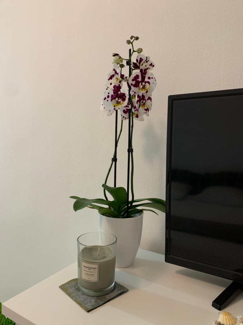 Studio apartmani Ribar Apartment in Dubrovnik-Neretva County