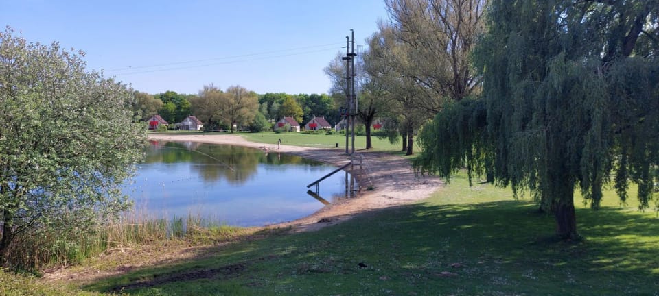 Lake view