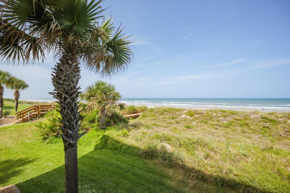 Natural landscape, Garden, Beach, Sea view