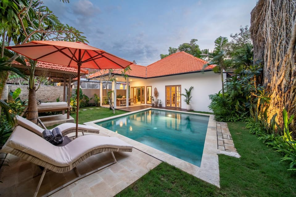 Garden, Swimming pool, sunbed