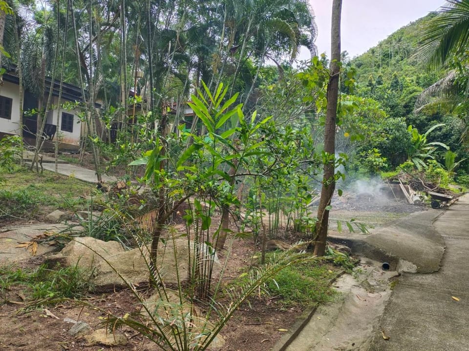 Day, Garden
