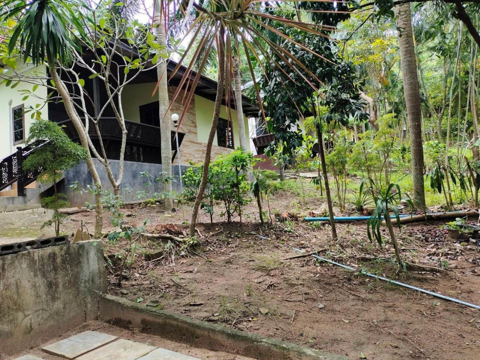 Day, Natural landscape, Garden