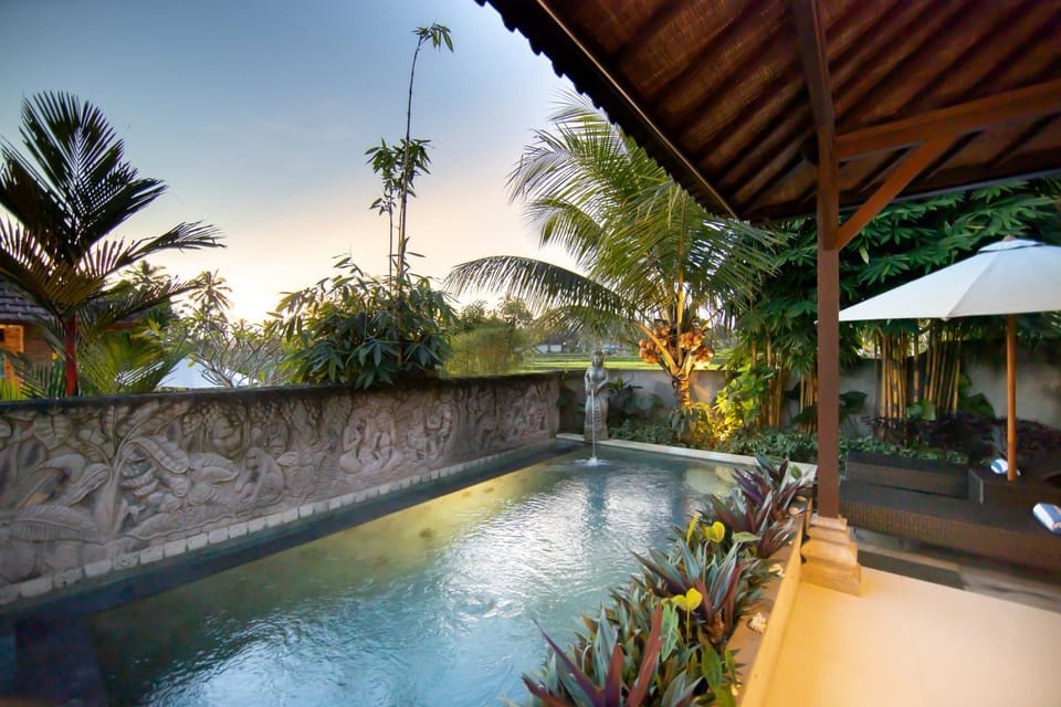 Swimming pool, Sunrise