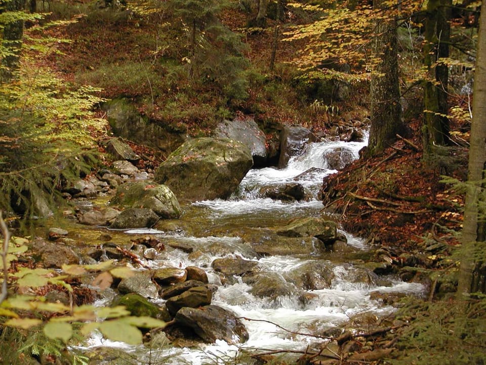 Staff, Natural landscape, Hiking