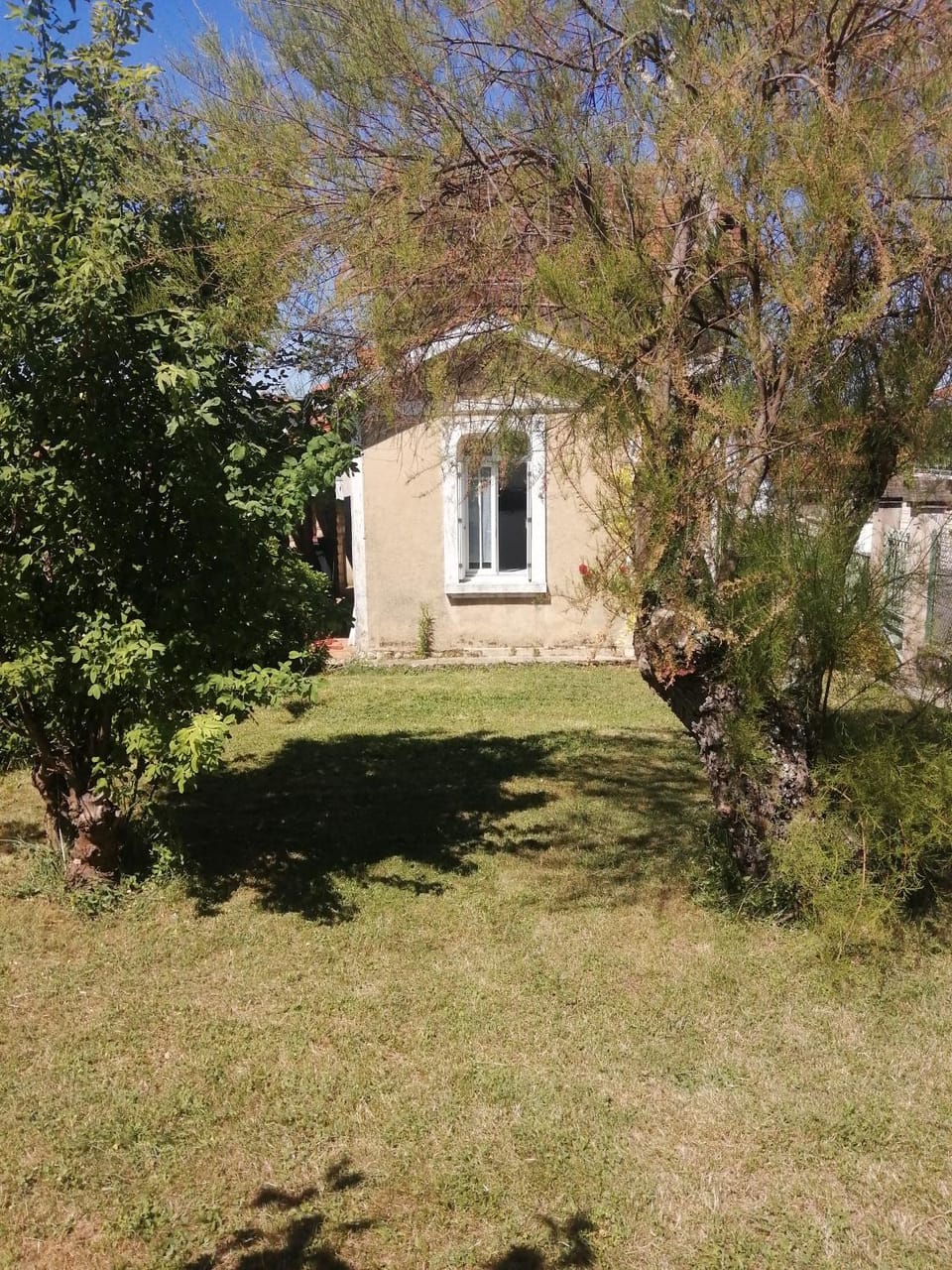 Garden, Garden view