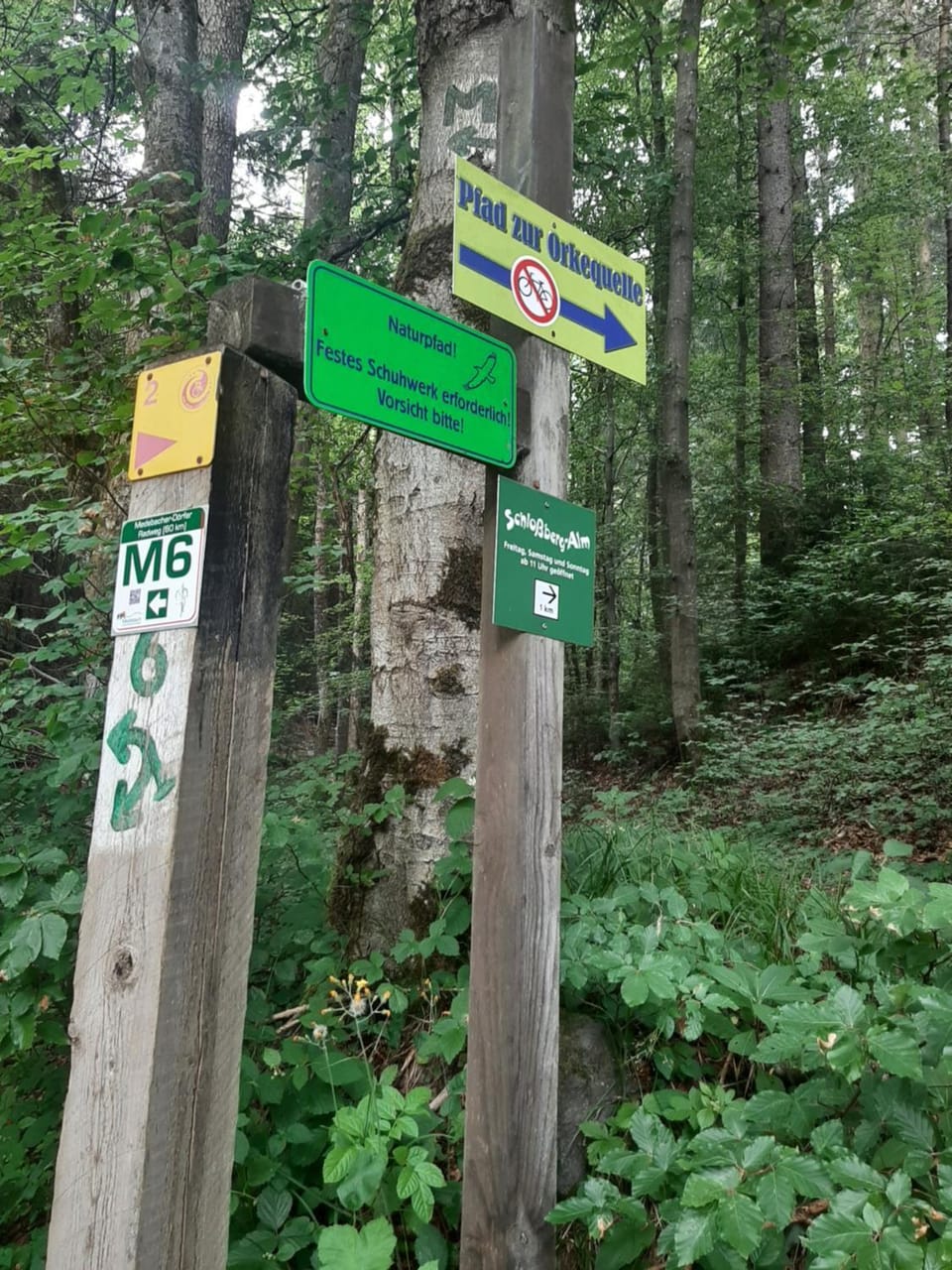 Property building, Natural landscape