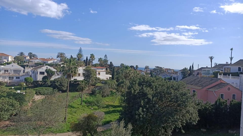 Neighbourhood, Garden view
