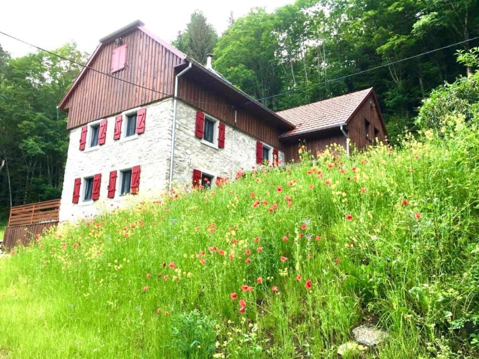 Property building, Garden