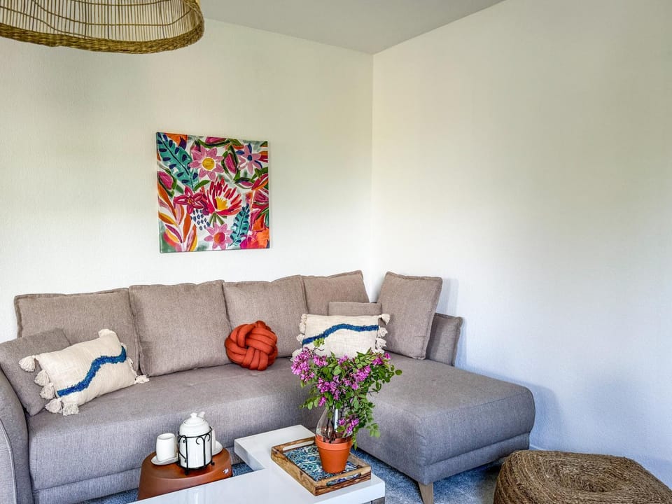 Le BLUET * entièrement équipe * tout confort Apartment in Occitanie