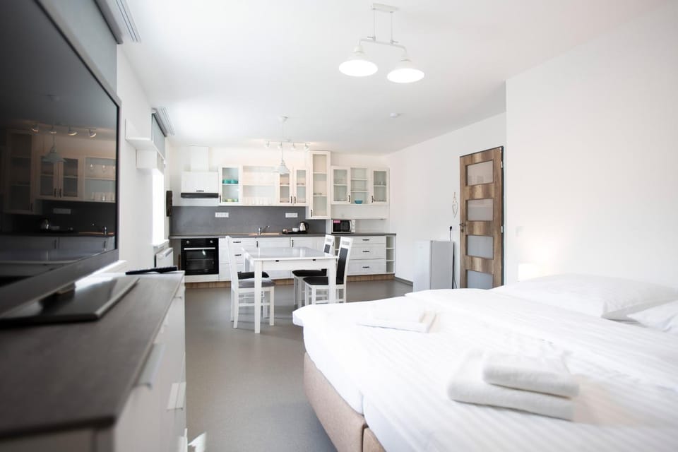 Bed, TV and multimedia, Kitchen or kitchenette, Photo of the whole room, Dining area, Breakfast