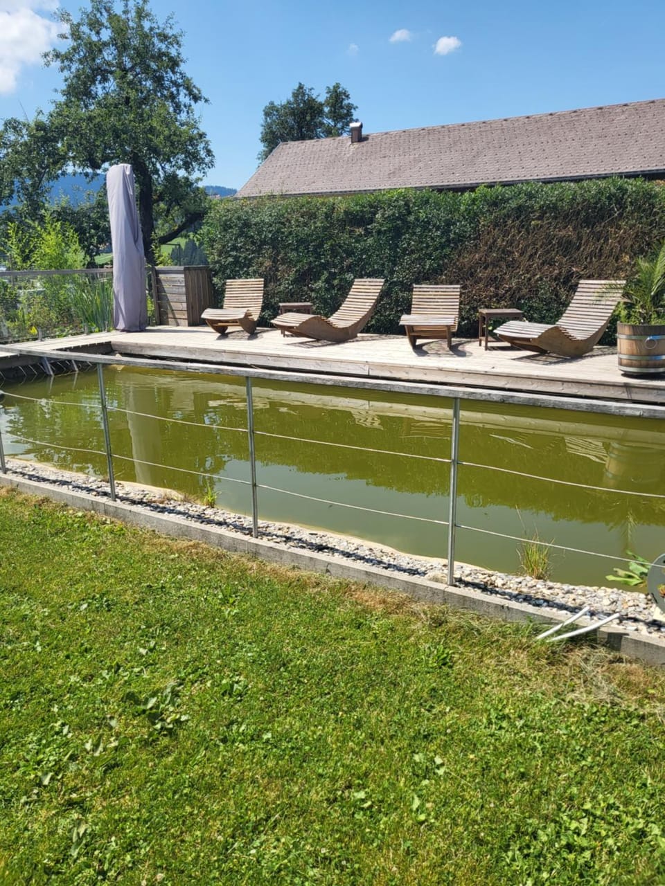 Garden, Swimming pool, sunbed