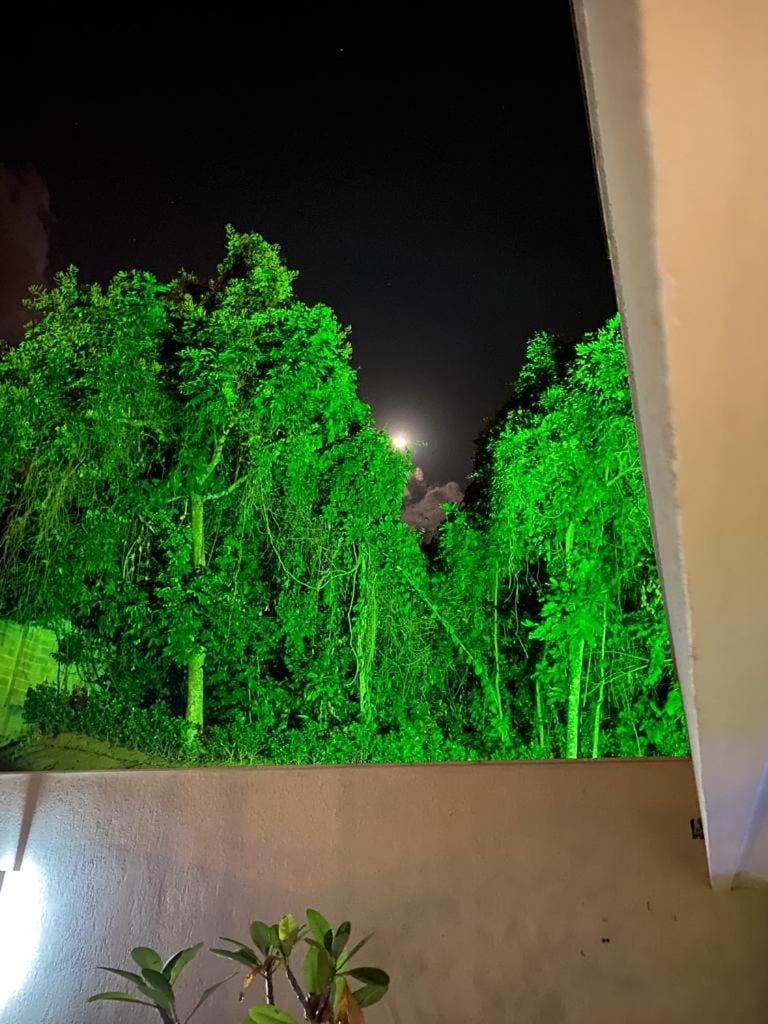 Night, Natural landscape, Garden, Garden view