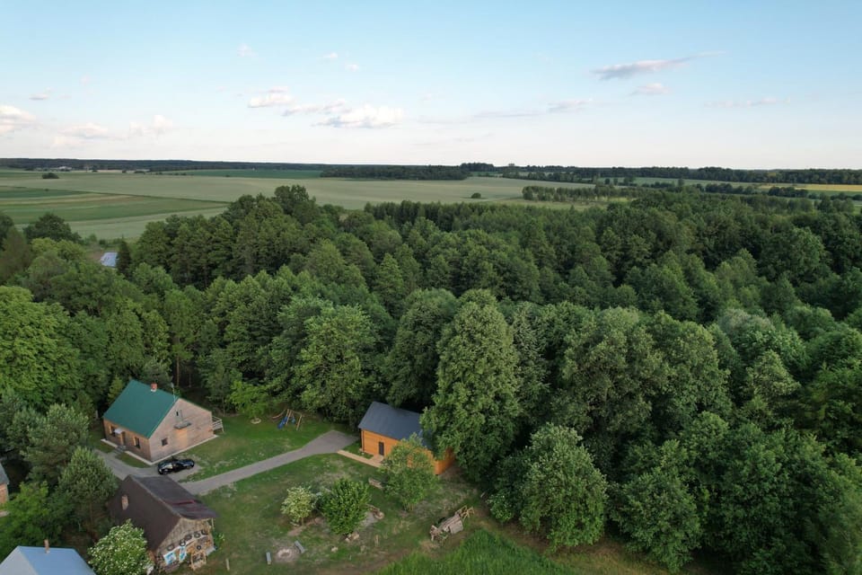 Apartament deluxe z jacuzzi w drzewach Apartment in Poland