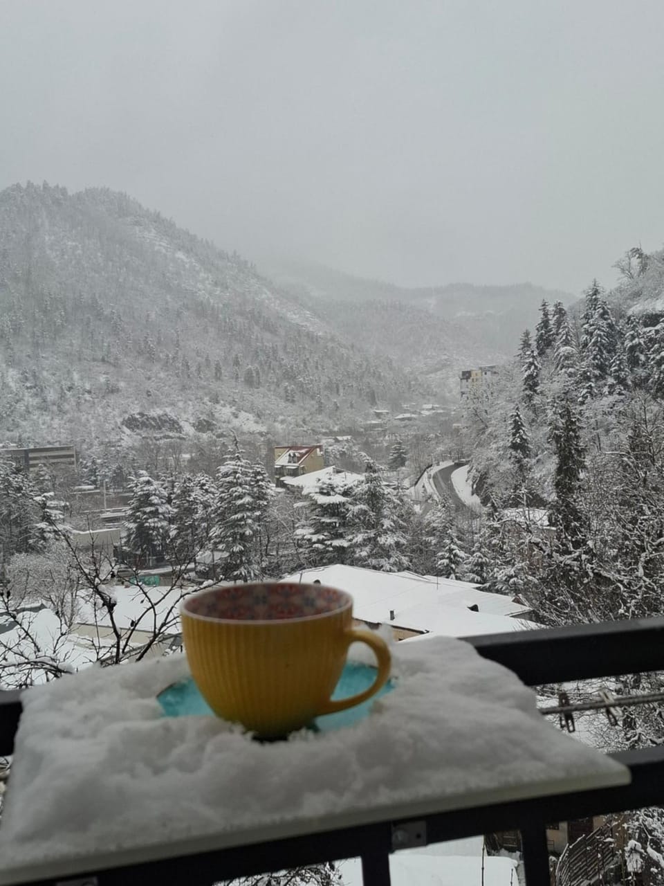 Borjomi Nest Bed and Breakfast in Georgia