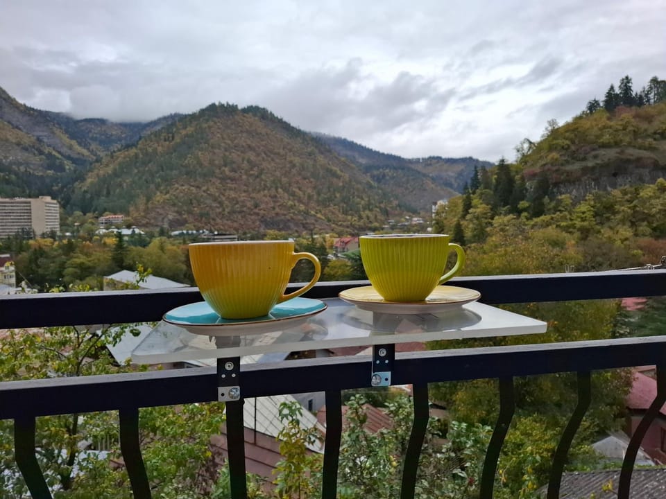 Borjomi Nest Bed and Breakfast in Georgia