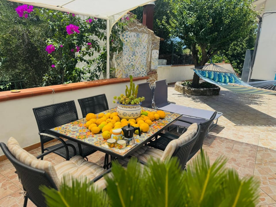 Patio, Garden, Seating area, sunbed