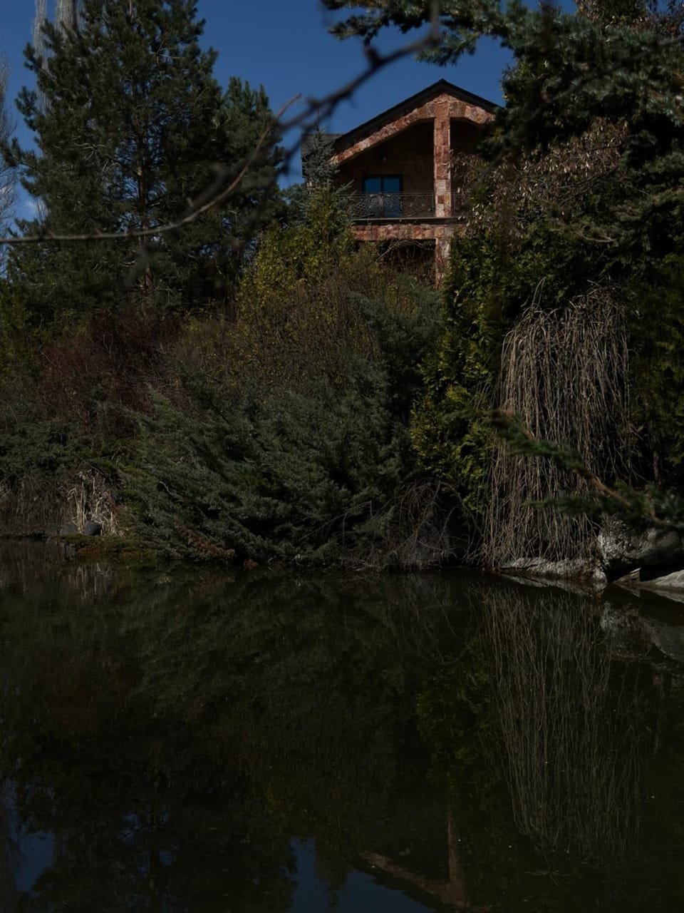Lake view