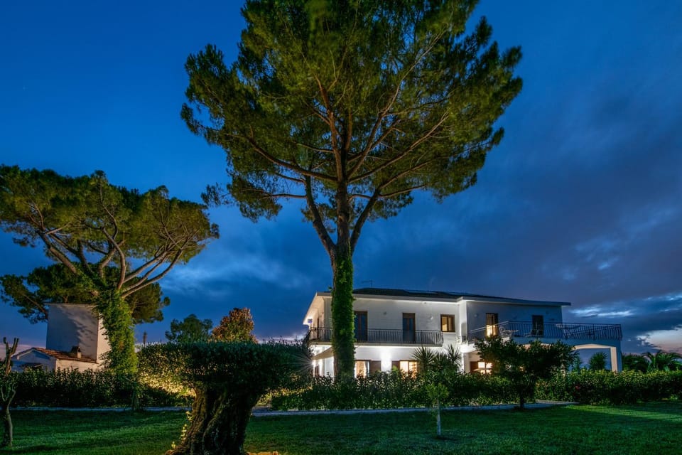 Property building, Night, Natural landscape, Garden, Garden view