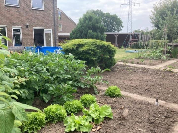 Property building, Garden view