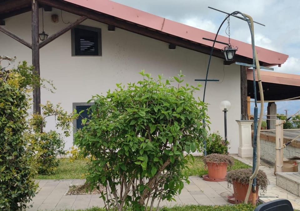 Property building, Garden, Swimming pool