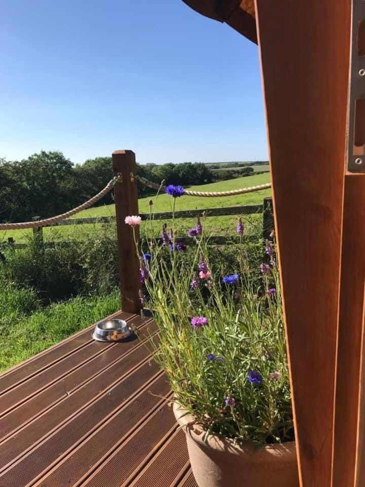 The Hobbit Hole Campground/ 
RV Resort in England